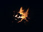 Campfire - Survival Fire